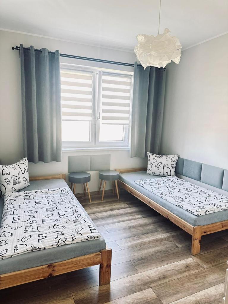 Spij W Kudowie Apartament I Pokoje Goscinne 库多瓦-兹德鲁伊 外观 照片